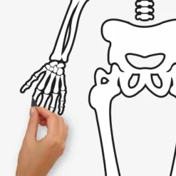 Skeleton Glow In The Dark Peel And Stick Giant Wall Decal White/Black - RoomMates -Roommates GUEST 7d544213 da7e 41d0 a0ec e179f14a9f62