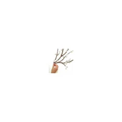 Blossom Branch Peel And Stick Giant Wall Decal With Flower Embellishments White - RoomMates -Roommates GUEST e164961a 9b3a 4832 b1be ca4fe5839329
